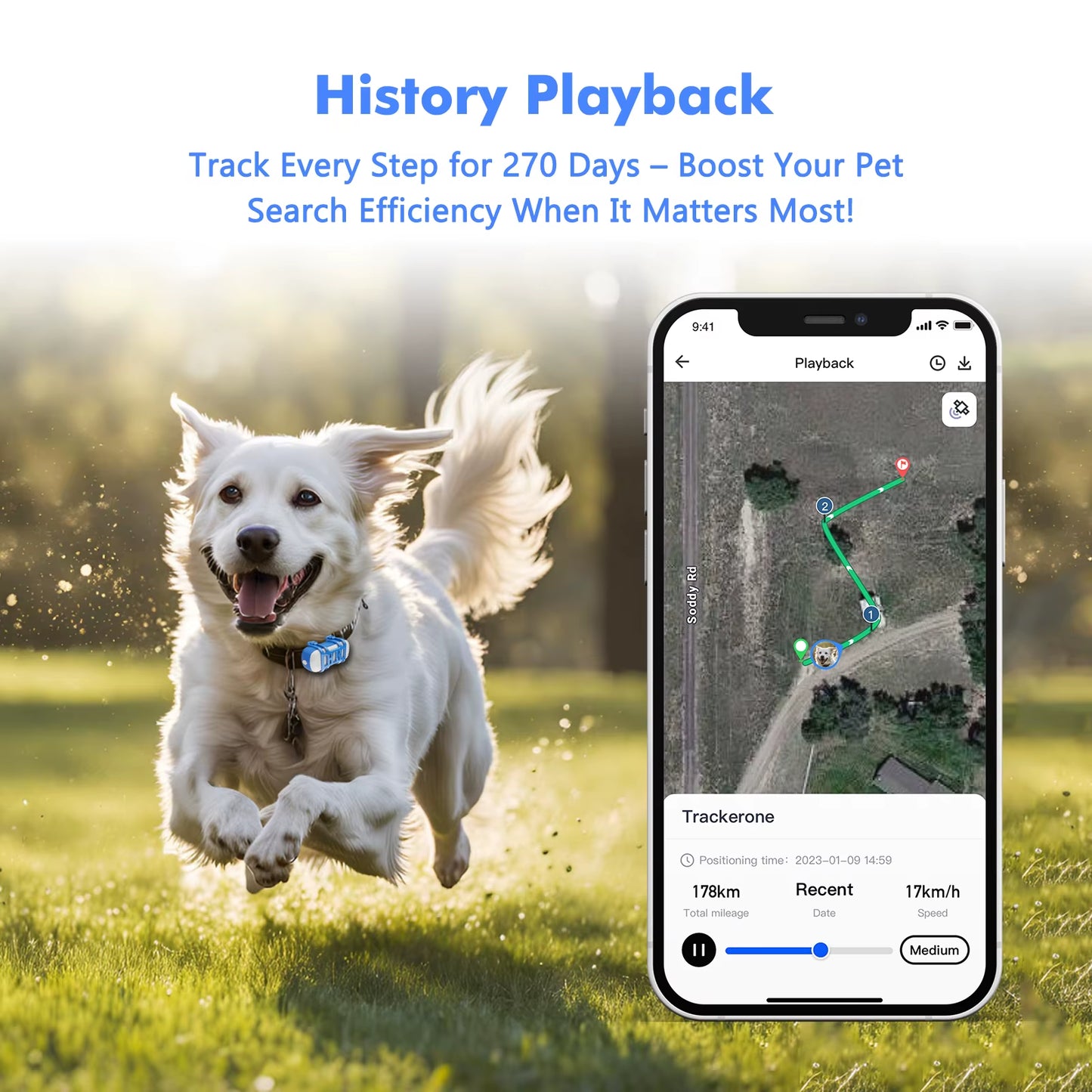 4G Waterproof GPS Tracker for Dogs and Cats - Smart Pet Locator with Live Tracking, Light/Sound Search, and Free Trial